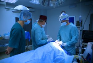 Как проводят пересадку костного мозга в Израиле