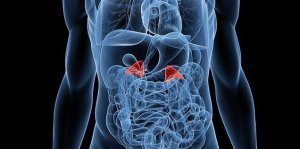 рак коры надпочечников