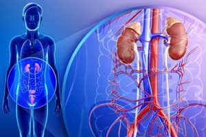 аплазия почки (агенезия почки)