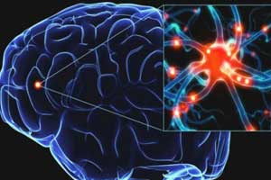 лейкодистрофия