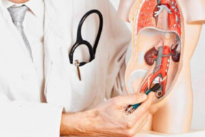 параметрит